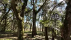 Foto 6 de Fazenda/Sítio à venda, 20000m² em Bateias de Baixo, Campo Alegre