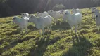 Foto 13 de Fazenda/Sítio com 2 Quartos à venda, 100m² em Area Rural de Goiania, Goiânia