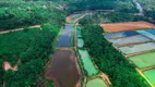 Foto 3 de Lote/Terreno à venda, 862000m² em Centro, Manaus