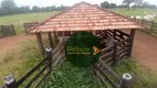 Foto 5 de Fazenda/Sítio com 3 Quartos à venda, 10502800m² em , Mundo Novo