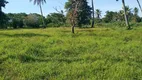 Foto 17 de Fazenda/Sítio à venda, 490000m² em , Macaíba