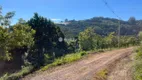 Foto 4 de Lote/Terreno à venda, 20000m² em Faria Lemos, Bento Gonçalves