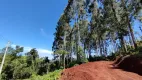 Foto 5 de Fazenda/Sítio à venda, 30000m² em Linha Olinda, Nova Petrópolis