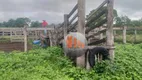 Foto 2 de Fazenda/Sítio com 3 Quartos à venda, 2420000m² em Zona Rural, Talismã