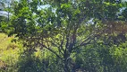 Foto 2 de Fazenda/Sítio à venda, 2226550m² em Zona Rural, Santo Antônio de Goiás