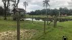 Foto 4 de Fazenda/Sítio com 4 Quartos à venda, 22000m² em Vila Nova, Joinville