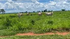 Foto 9 de Fazenda/Sítio à venda em Zona Rural, Quirinópolis