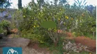 Foto 10 de Fazenda/Sítio com 2 Quartos à venda, 200m² em Bairro Canedos, Piracaia