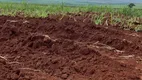 Foto 16 de Fazenda/Sítio com 1 Quarto à venda, 2000m² em Jardins Valencia, Goiânia