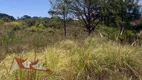 Foto 10 de Fazenda/Sítio com 1 Quarto à venda, 4000m² em Cotia, São José dos Pinhais