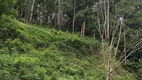 Foto 10 de Lote/Terreno à venda em Serra dos Lagos Jordanesia, Cajamar