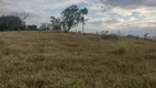 Foto 3 de Fazenda/Sítio à venda, 261000m² em Zona Rural, Porangaba