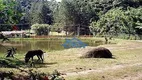 Foto 15 de Fazenda/Sítio com 9 Quartos para venda ou aluguel, 1000m² em Parque Mira Flores, Itapevi