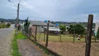 Foto 3 de Lote/Terreno para alugar, 360m² em São Ciro, Caxias do Sul