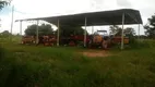 Foto 13 de Fazenda/Sítio à venda, 10410000m² em Zona Rural, Arinos