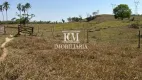Foto 11 de Fazenda/Sítio com 4 Quartos à venda, 28m² em Zona Rural, Buriti Alegre