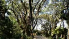 Foto 6 de Lote/Terreno à venda, 610m² em Bosque do Vianna, Cotia