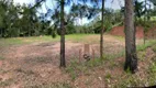 Foto 27 de Fazenda/Sítio à venda, 10000m² em Granja Urupês, Santa Isabel