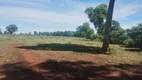 Foto 11 de Fazenda/Sítio à venda, 500000m² em Zona Rural, Anastácio