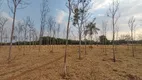 Foto 2 de Fazenda/Sítio à venda, 55875m² em Area Rural de Goiania, Goiânia