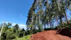 Foto 5 de Fazenda/Sítio à venda, 30000m² em Linha Olinda, Nova Petrópolis