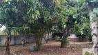 Foto 2 de Fazenda/Sítio com 3 Quartos à venda, 3000m² em Centro, Cesário Lange