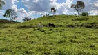 Foto 32 de Fazenda/Sítio com 2 Quartos à venda, 470000m² em Corrego Rico, Planaltina