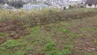 Foto 15 de Lote/Terreno à venda, 360m² em Triângulo, Carlos Barbosa