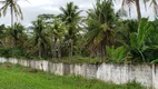 Foto 25 de Fazenda/Sítio com 5 Quartos à venda, 30000m² em Salema, Rio Tinto