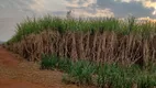 Foto 2 de Fazenda/Sítio à venda em Jardim Urano, São José do Rio Preto