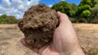 Foto 2 de Fazenda/Sítio com 3 Quartos à venda, 8300000m² em Santo Antonio, São Francisco