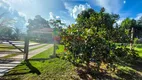 Foto 27 de Fazenda/Sítio com 3 Quartos à venda, 200m² em Zona Rural, Ouro Verde de Goiás