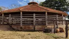 Foto 2 de Fazenda/Sítio com 3 Quartos à venda, 264000m² em Setor Central, Morrinhos