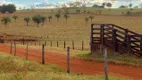 Foto 8 de Fazenda/Sítio à venda em Centro, Goianésia