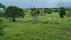 Foto 18 de Fazenda/Sítio à venda, 800000m² em Zona Rural, São Sebastião do Passé