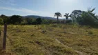 Foto 10 de Fazenda/Sítio com 3 Quartos à venda, 103m² em Zona Rural, Colinas do Sul