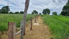 Foto 23 de Fazenda/Sítio com 4 Quartos à venda, 316500m² em Zona Rural, Nossa Senhora do Livramento