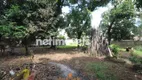 Foto 3 de Lote/Terreno à venda em São Benedito, Santa Luzia