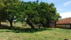 Foto 19 de Fazenda/Sítio com 4 Quartos à venda em Zona Rural, Aragoiânia