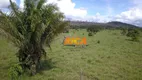 Foto 16 de Fazenda/Sítio com 1 Quarto à venda, 6530000m² em , Nova Mamoré