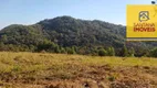 Foto 4 de Fazenda/Sítio à venda, 47500m² em Bateias, Campo Largo