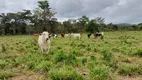 Foto 2 de Fazenda/Sítio com 2 Quartos à venda, 490000m² em Sao Gabriel de Goias, Planaltina