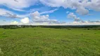 Foto 34 de Fazenda/Sítio com 4 Quartos à venda, 1597200m² em , Presidente Alves