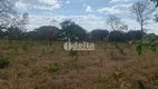 Foto 4 de Fazenda/Sítio à venda, 10000m² em Chacaras Bonanza, Uberlândia