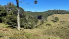 Foto 18 de Fazenda/Sítio à venda, 140000m² em Centro, Rancho Queimado