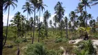 Foto 19 de Fazenda/Sítio à venda, 1700m² em Comandatuba, Una