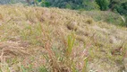 Foto 50 de Fazenda/Sítio à venda, 60000m² em Zona Rural, Natividade da Serra