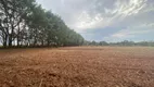 Foto 2 de Lote/Terreno à venda, 70000m² em Terras de Santa Rosa, Salto