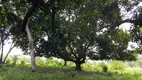 Foto 8 de Fazenda/Sítio à venda, 53000m² em Zona Rural, Areia Branca