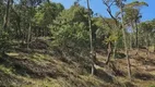 Foto 8 de Lote/Terreno à venda em Zona Rural, Urubici